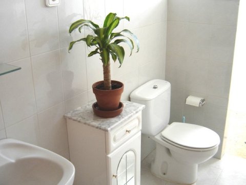 baño